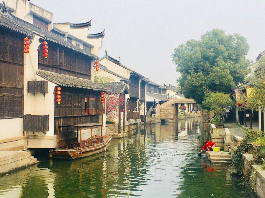 动物帮帮忙保卫家园